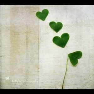 Meet your Posher, Gel